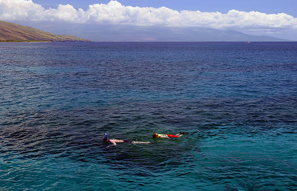 esnórquel la gran azul - hawaii islands maui big island tropical climate fotografías e imágenes de stock