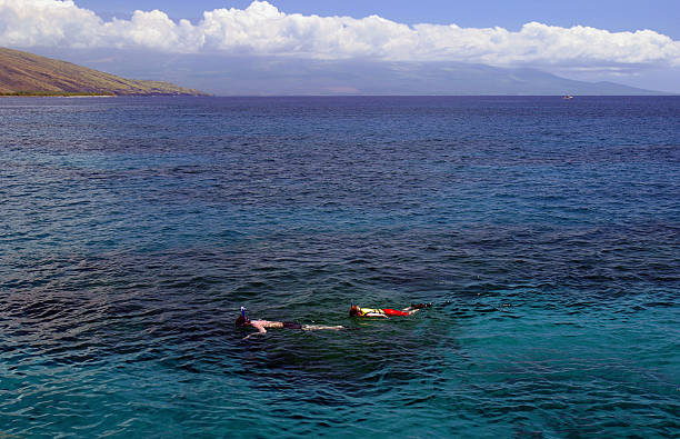 la plongée avec masque et tuba le grand bleu - hawaii islands maui big island tropical climate photos et images de collection