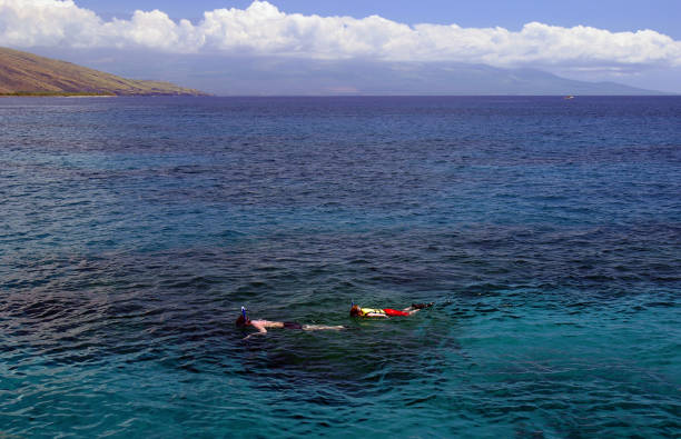 シュノーケリング、ビッグブルー - hawaii islands maui big island tropical climate ストックフォトと画像