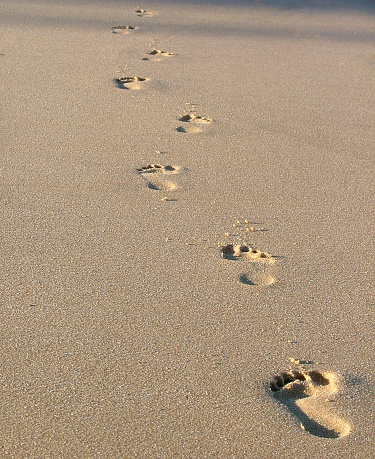 footprints on the beach