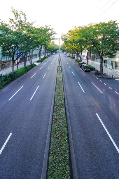 istock Omotesando zelkova trees illuminated by the morning sun (Shibuya Ward, Tokyo) 1722112937