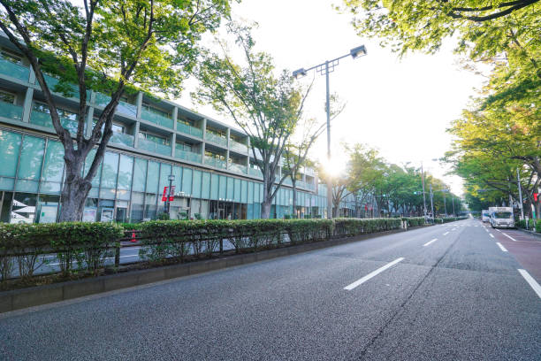 istock Omotesando zelkova trees illuminated by the morning sun (Shibuya Ward, Tokyo) 1722114564