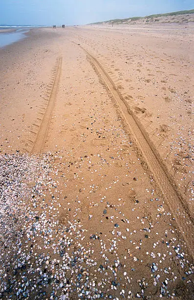 Tire-tracks on empty beach