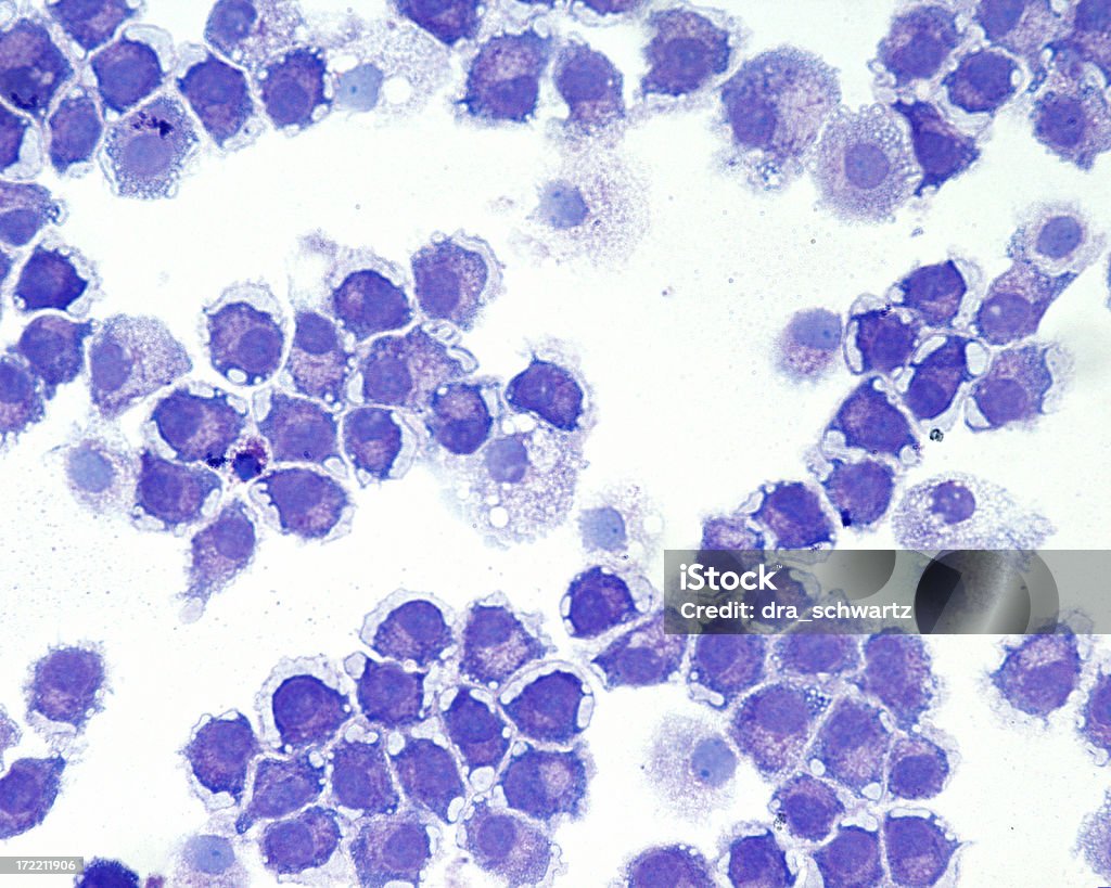 Sangue humano células - Royalty-free Contar Foto de stock