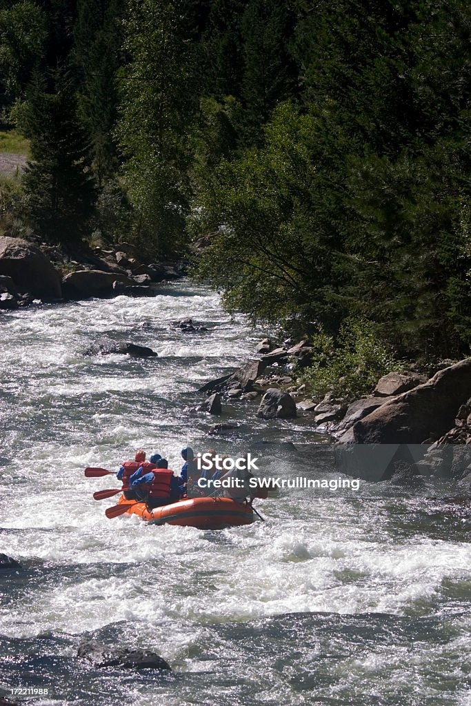 Wildwasser-Rafting auf Clear Creek, Colorado - Lizenzfrei Wildwasser-Floßfahrt Stock-Foto