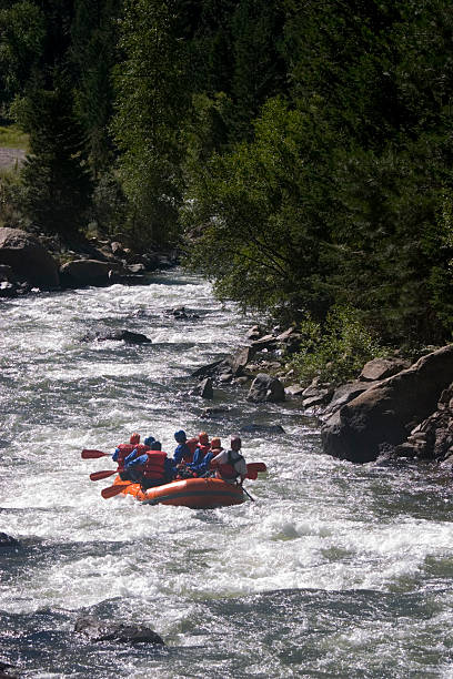 ラフティングにクリアクリーク（コロラド州） - rafting on a mountain river ストックフォトと画像