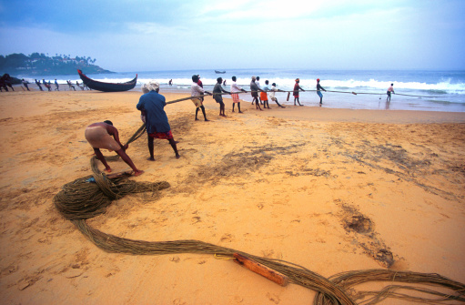 Indian fishermen pulling in big fishing netMore images of same photographer in lightbox: