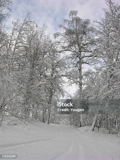 De Esquí Foto de stock y más banco de imágenes de Nieve - Nieve, Abedul, Blanco - Color