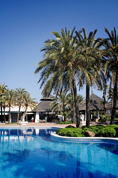 piscina relaxante resort - full length florida tropical climate residential structure - fotografias e filmes do acervo