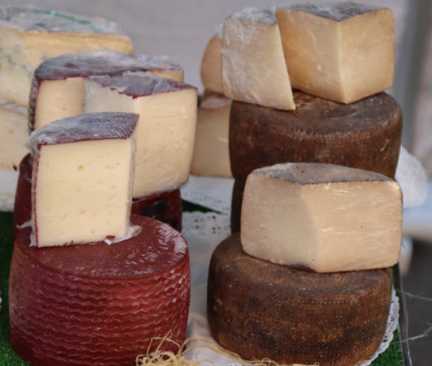 istock Forms of soft cheese to eat- 1722124953