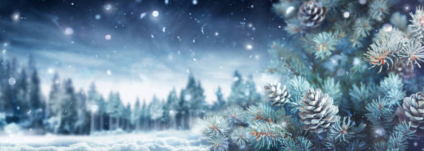 istock Winter Landscape - Fir Tree With Snow And Forest In Background 1722127205