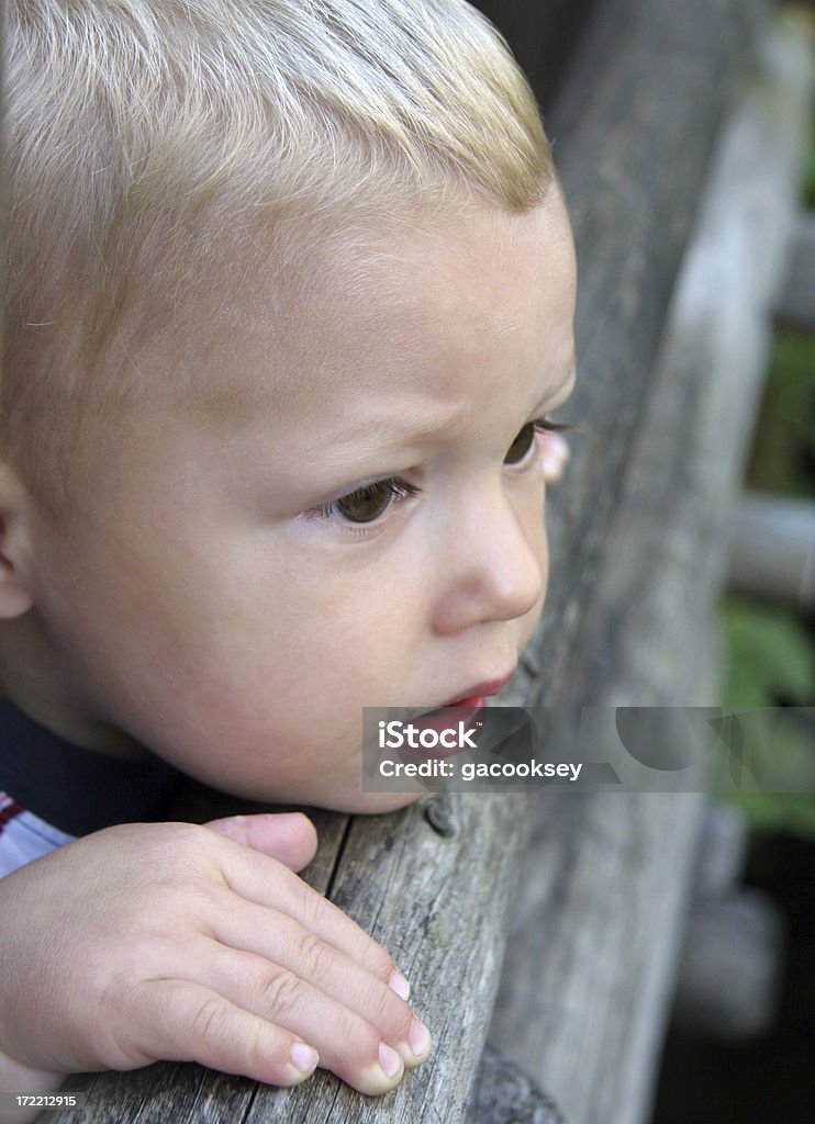 curious boy looking on young child curiously and intently peers over wooden railing Anticipation Stock Photo