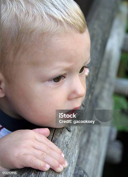 Curious Boy Looking On Stock Photo - Download Image Now - Anticipation, Awe, Boys