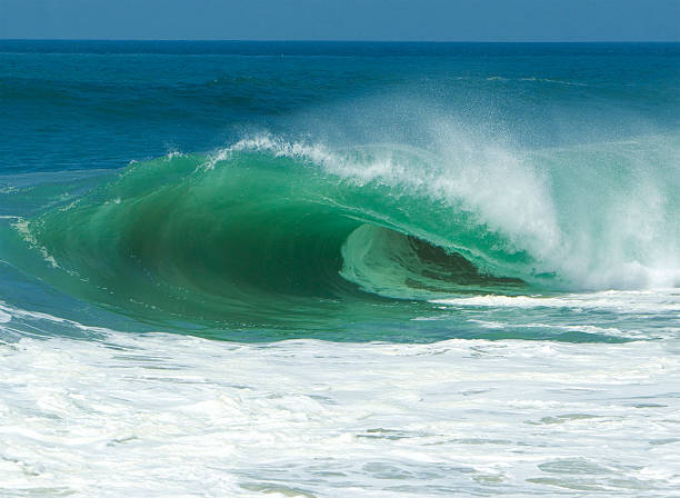 Free Stock Photo of Approaching Big Wave at Shore | Download Free ...