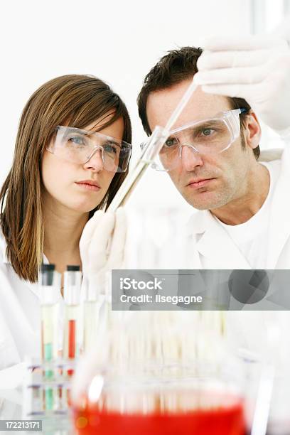 Investigadores Que Trabajan Con Productos Químicos Foto de stock y más banco de imágenes de Adulto - Adulto, Agarrar, Analizar