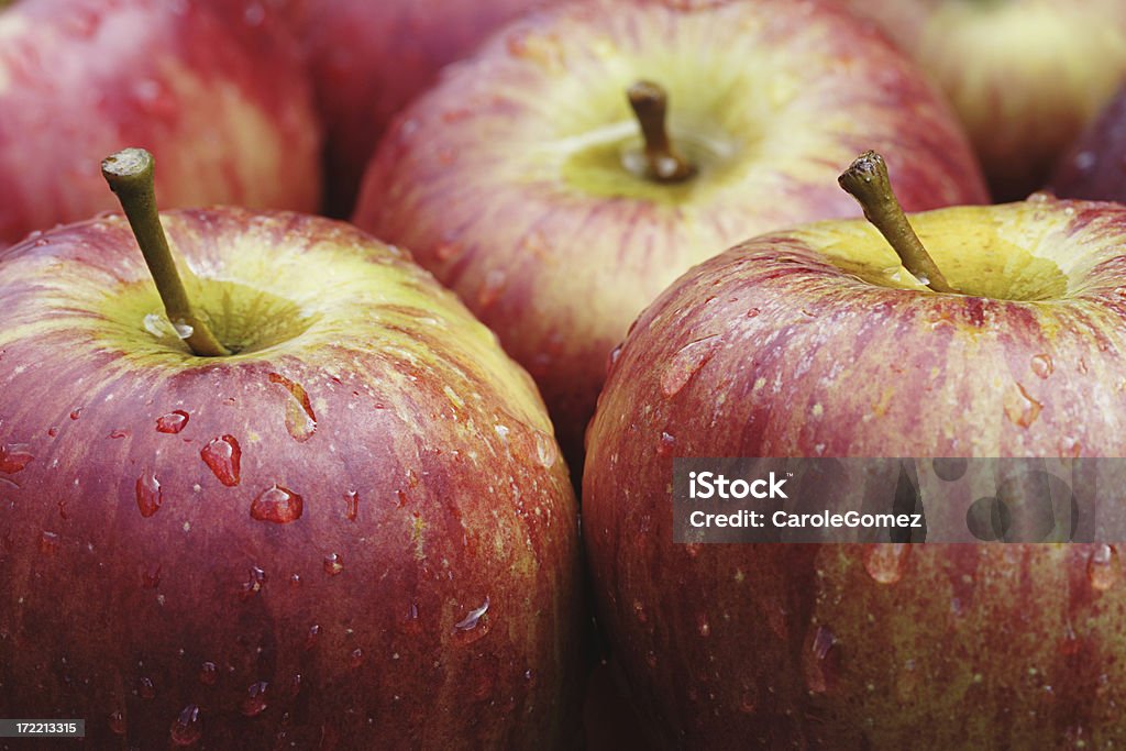 추절 수확하다 사과들 - 로열티 프리 사과 스톡 사진