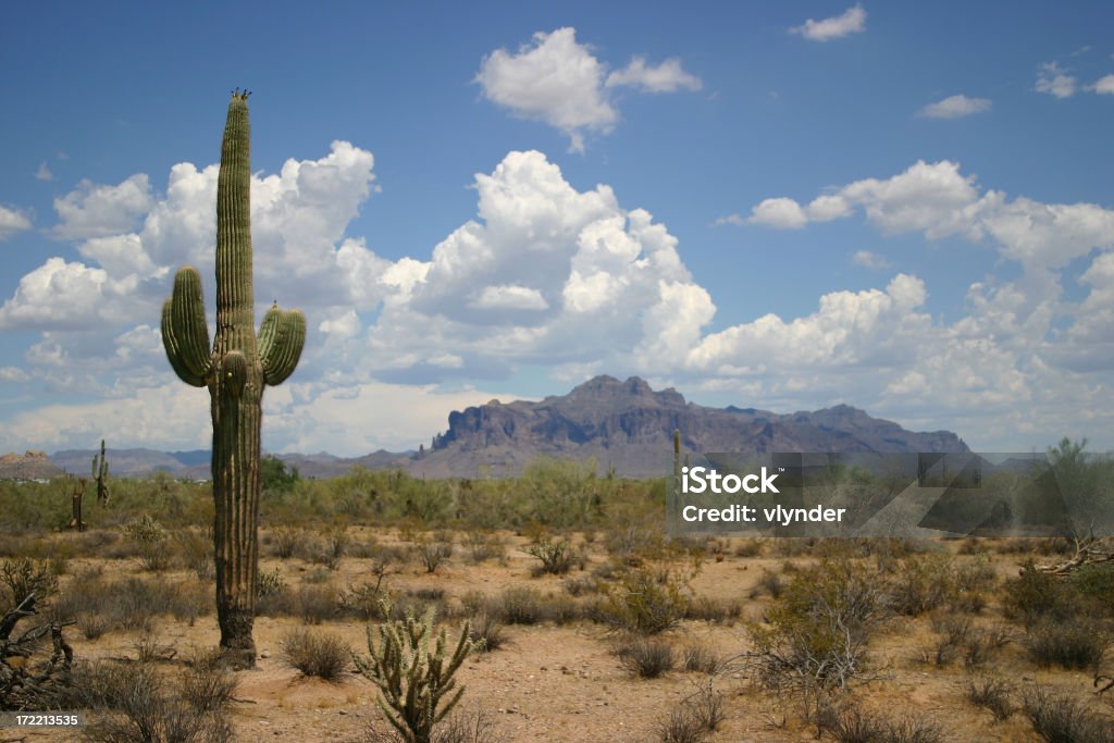Paisagem do deserto - Royalty-free Cato Foto de stock