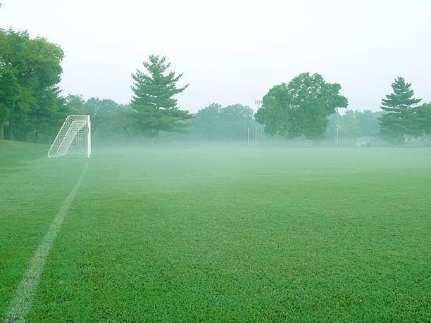 Foggy Soccer Field stock photo