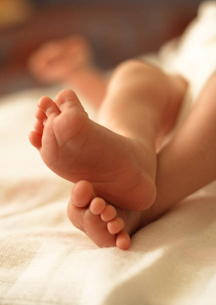 istock Newborn baby feet 172214156