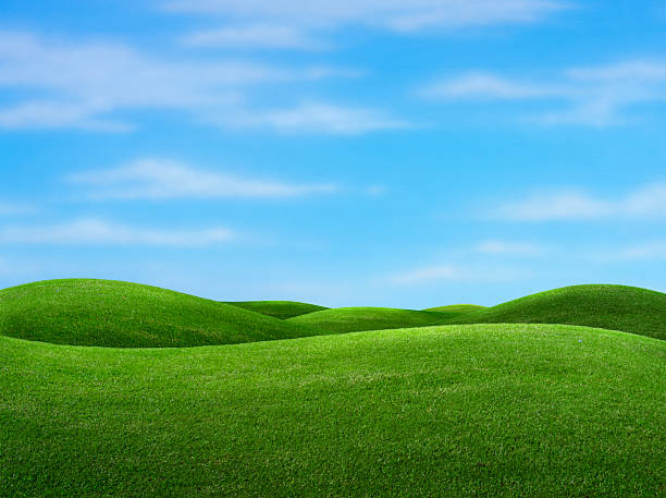 istock Rolling green hills with blue sky in background 172214202