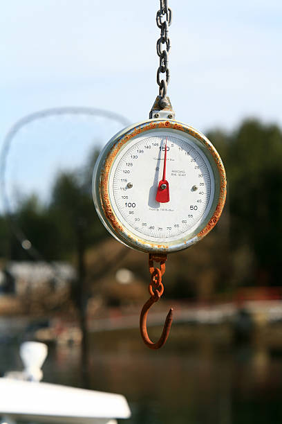 istock Weighing In At The Fishing Dock. 172214440
