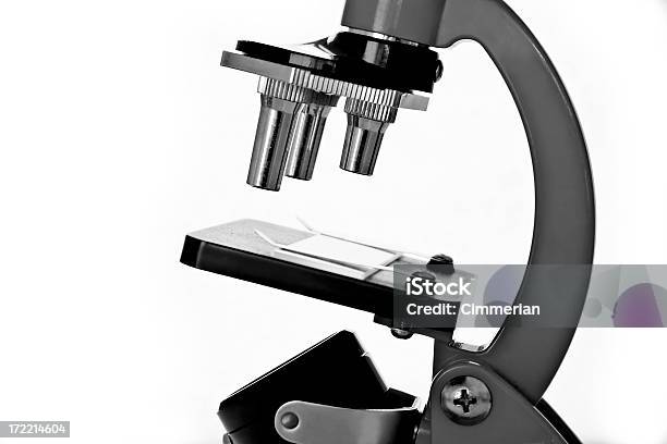 Analiza Ta Bw - zdjęcia stockowe i więcej obrazów Mikroskop - Mikroskop, Neutralne tło, Biały