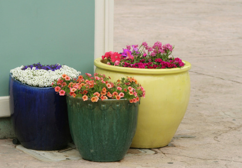 Colorful Pansies in a Plastic Blue Planter sitting on a Deck