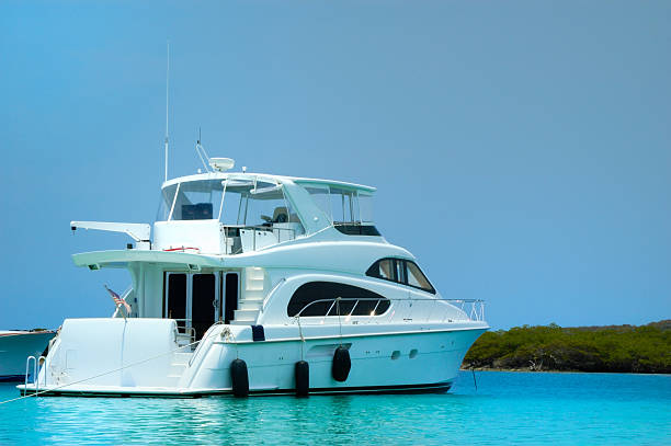 istock Luxury Yachts anchored in a tropical exotic island beach 172214773