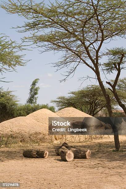 Photo libre de droit de Botte De Foin Africaine Dethiopie banque d'images et plus d'images libres de droit de Afrique - Afrique, Agriculture, Arbre