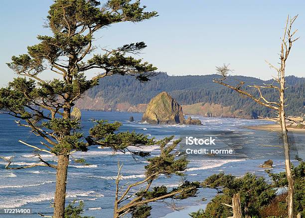 Photo libre de droit de Classique Plage De Loregon banque d'images et plus d'images libres de droit de Arbre - Arbre, Eau, Horizontal