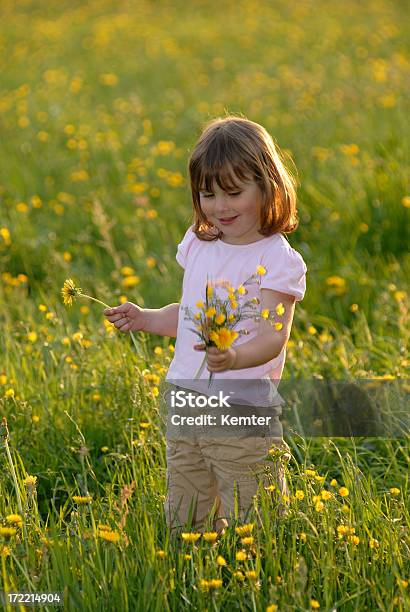 Girl In 花開く草地 - 1人のストックフォトや画像を多数ご用意 - 1人, 2歳から3歳, カラー画像