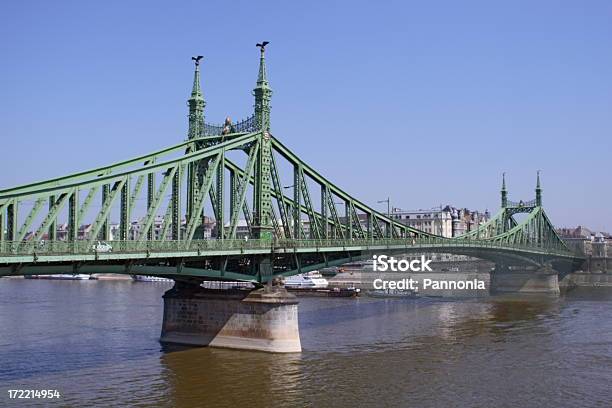 Liberty Bridge Stock Photo - Download Image Now - Architecture, Bird, Bridge - Built Structure