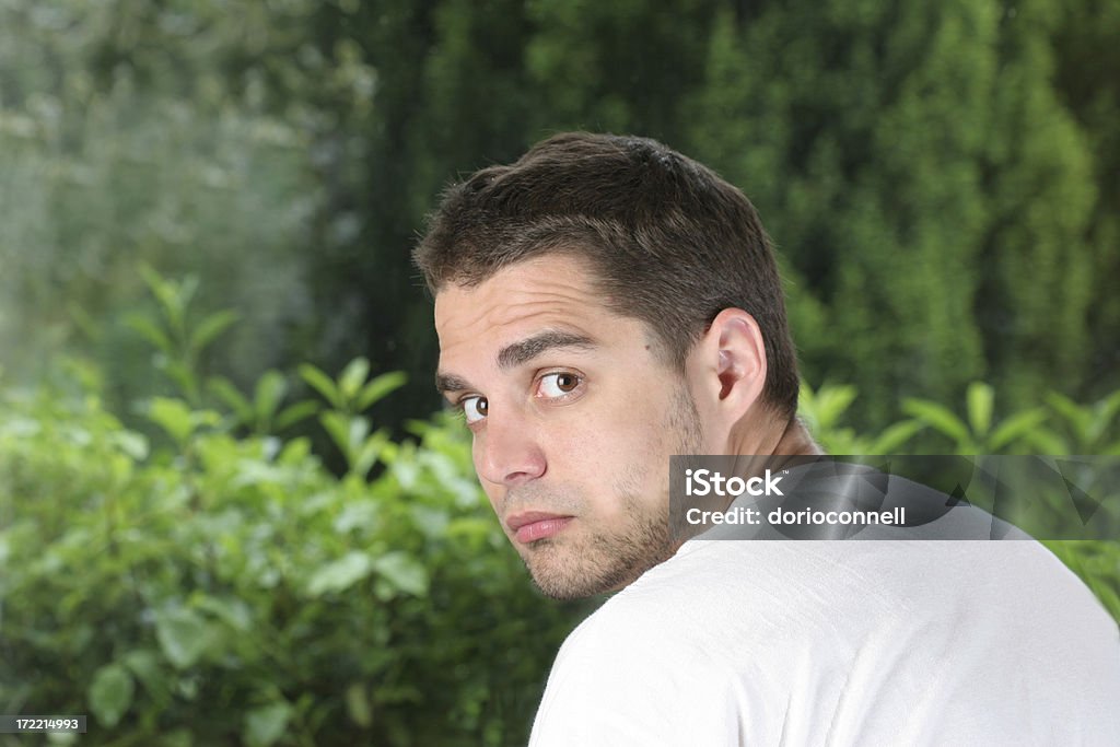 man looking back young man looking straight into camera, isolated over green Adult Stock Photo