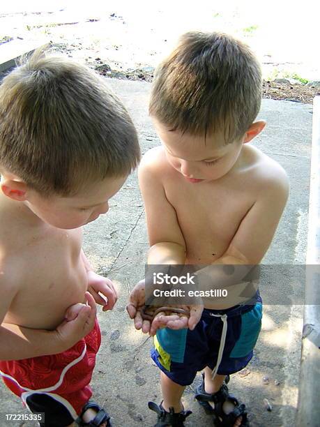 Fishing Bait Stock Photo - Download Image Now - Beauty, Boys, Child