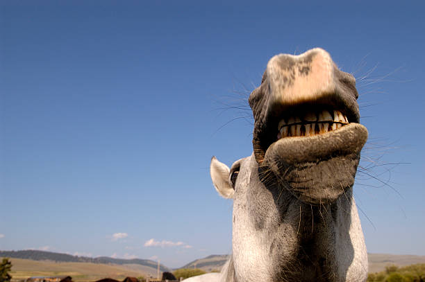 istock Talk to me Baby 172215455