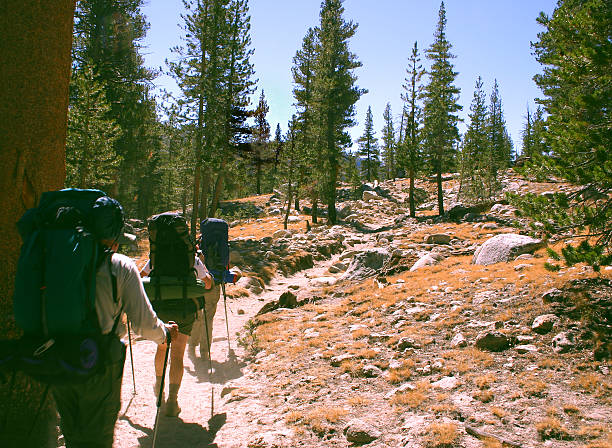 Backpackers Alpine hiking in Yosemite National Park. Slight motion blur. yosemite falls stock pictures, royalty-free photos & images