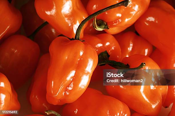 ハバネロピーマン - オレンジ色のストックフォトや画像を多数ご用意 - オレンジ色, カラー画像, トウガラシ類