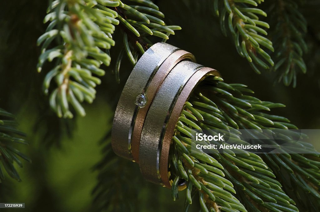 Wedding rings Wedding rings on spruce.Check also: Adult Stock Photo