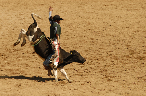 Young boy riding calf at rodeo.