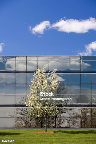 Frühlingbusiness Stockfoto und mehr Bilder von Außenaufnahme von Gebäuden - Außenaufnahme von Gebäuden, Baum, Blau