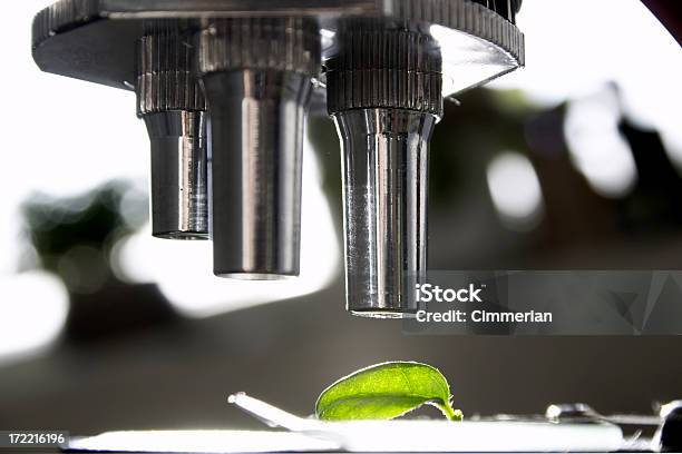 Analyze This 9 Stock Photo - Download Image Now - Analyzing, Biochemistry, Biology