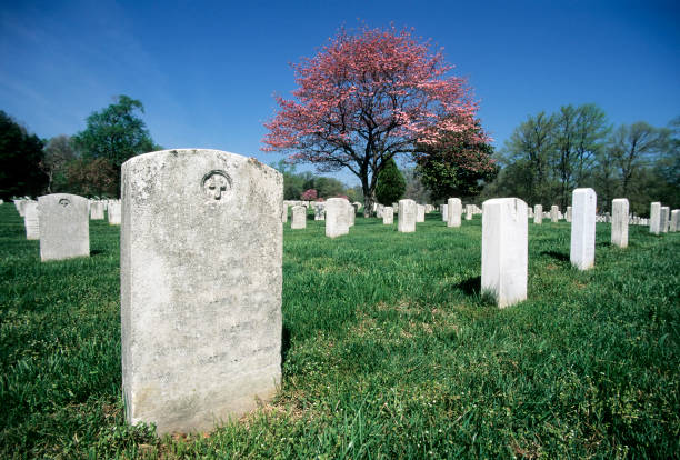 Arlington National Cemetery in Bloom