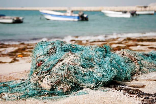 Old fishing nets polluting the shoreline.