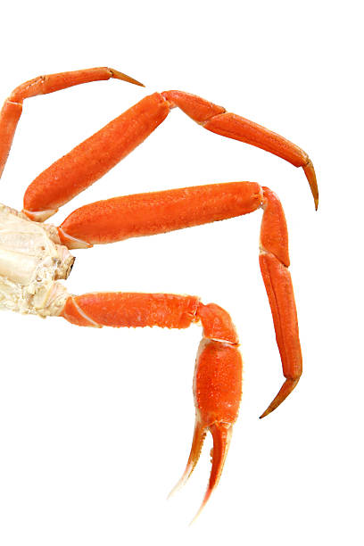 King Crab Claws Crab claws, all you can eat. snow crab photos stock pictures, royalty-free photos & images
