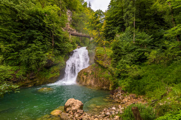 Beautiful waterfall in Vintgar gorge, Slovenia