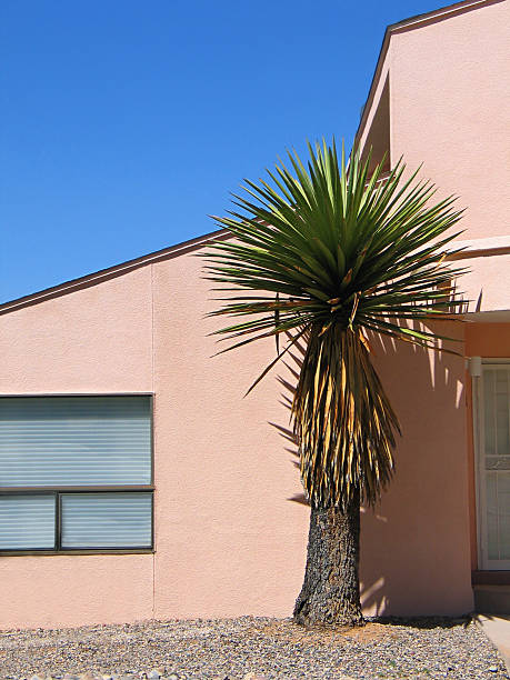 xeriscaped chez vous - pink buildings photos et images de collection