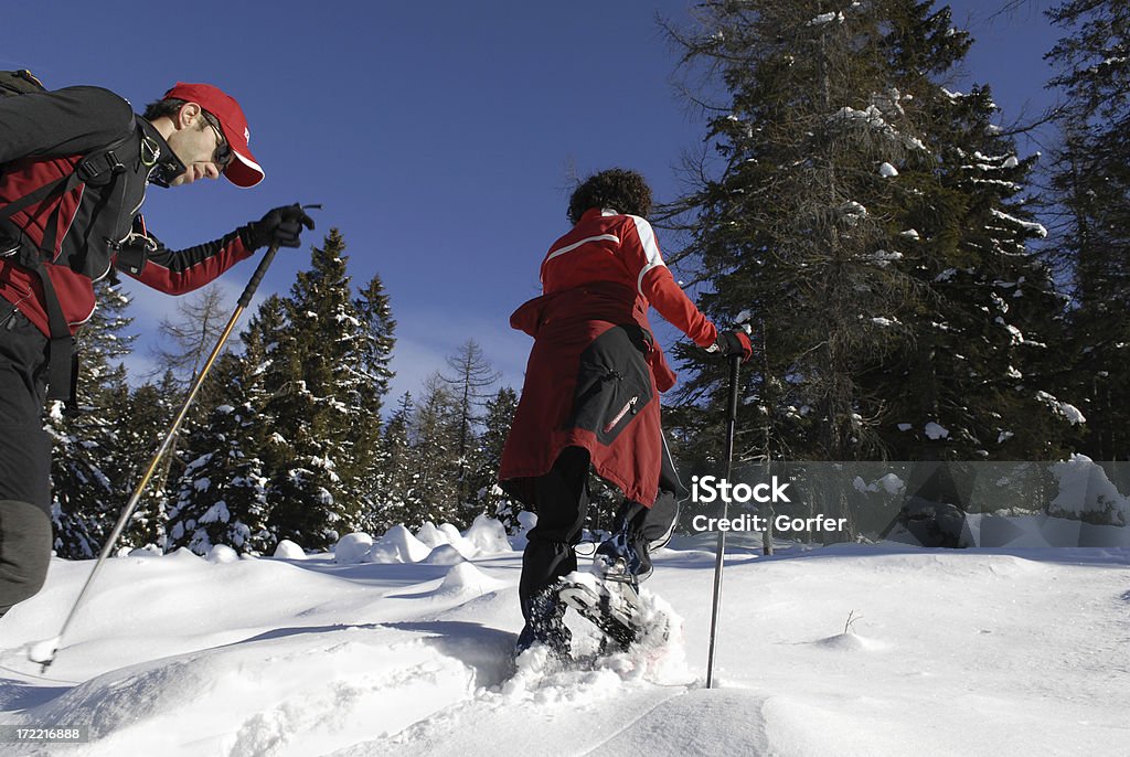 Racchetta da neve - Foto stock royalty-free di Alpi