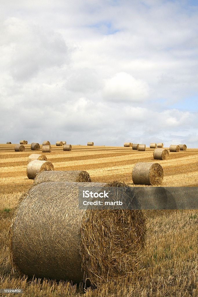Солома Bales поле в полоску - Стоковые фото Англия роялти-фри