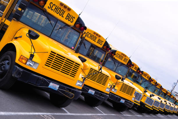 istock Row of Yellow School Buses 172216974
