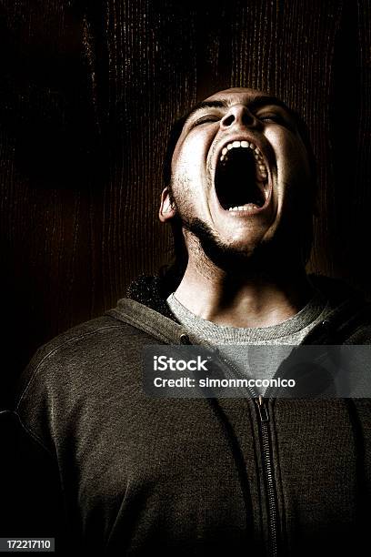 Roar Stockfoto und mehr Bilder von Rufen - Sprache - Rufen - Sprache, Schreien, Dunkel